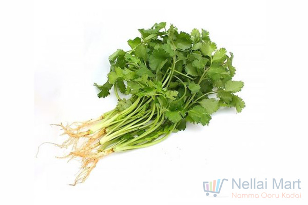 Coriander-Leaves-Kothamalli.jpg