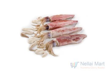 Squid / Kanavai / கணவாய்