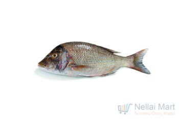 Emperor Fish / Vela Meen / விள மீன்