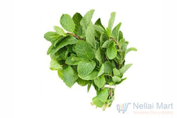 Mint (Pudina) 1bunch