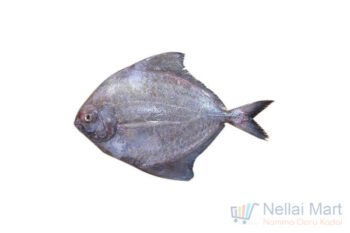 Pomfret Black / Vaval / கருவாவல் (Small)