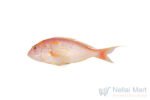 Red-Snapper-Sankara-Meen.jpg