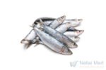 Sardines / Chaalai Mathi / சாலை / மத்தி