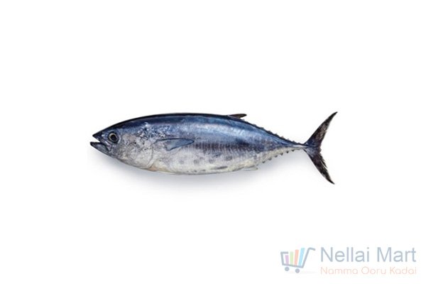 Tuna-soorai-fish.jpg
