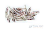 anchovy-fish-nethili.jpg