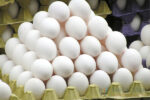 Chicken Egg (Kozhi Muttai) 1-Tray (30pc)