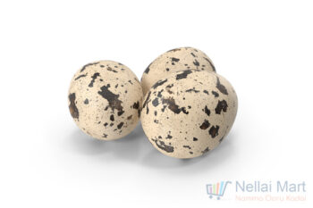 Quail Egg (காடை முட்டை)
