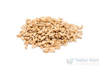 Nawaab Akshya Ponni Rice 26kg